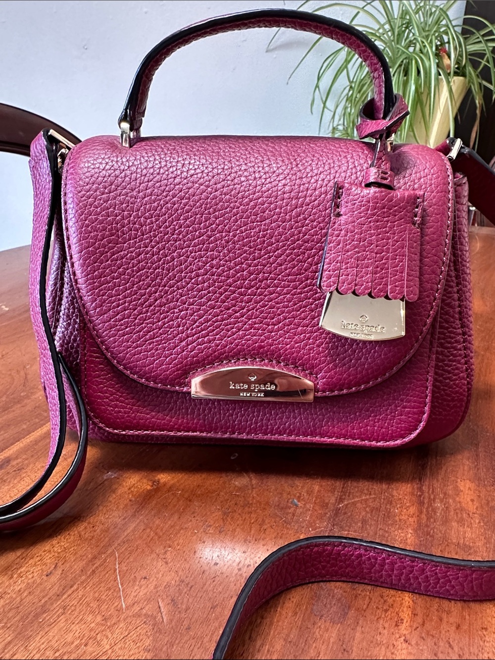 Kate Spade New York Alexy Purse